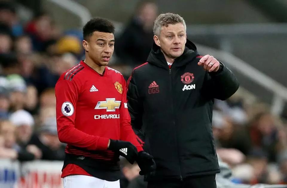 安排显得尤 安排显得尤